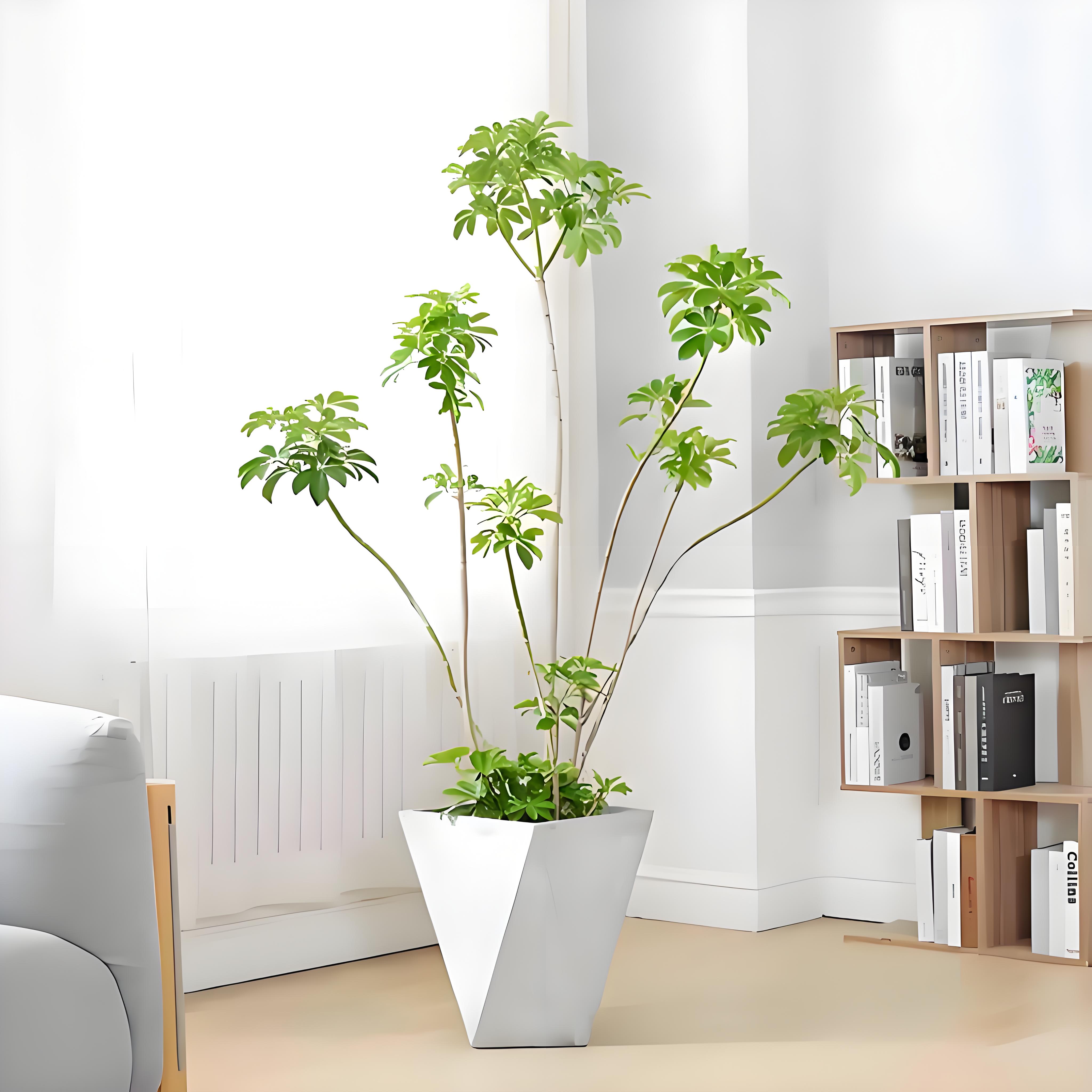 宁波余姚花卉租摆 宁波余姚花卉租摆